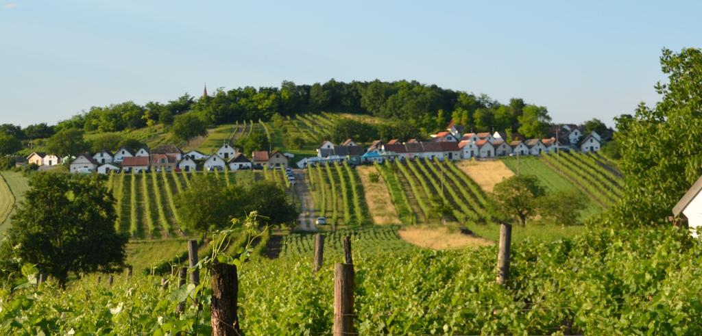 Ferienwohnung Herrmann Pottenhofen المظهر الخارجي الصورة